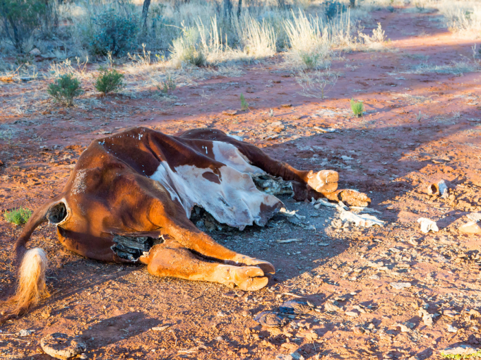 List 8 where is skinwalker ranch located today - BSS news